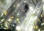 final-fantasy-vii-advent-children-22