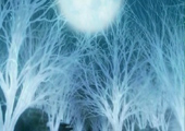 final-fantasy-vii-advent-children-28