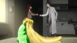 steins-gate-00-05